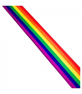 BANDA CON LA BANDERA