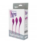 PLEASURE BALLS EGGS KEGEL EXERCISE SET