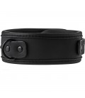 BLAZE COLLAR AND LEASH BLACK